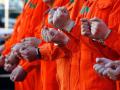绿色和平：阿根廷布宜诺斯艾利斯