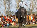 大象节：尼泊尔奇特旺