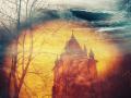 魔幻森林:圣彼得堡