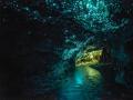 萤火虫洞穴:新西兰
