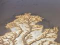 科罗拉多河航拍照片 仿佛大树分叉