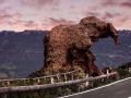 意大利天然岩石酷似大象