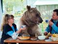 俄罗斯夫妇养270斤“熊孩子”